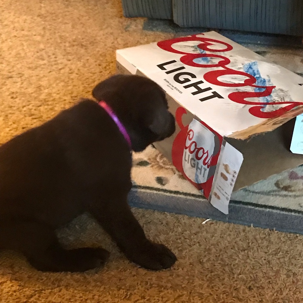 Meet your Posher, Christy